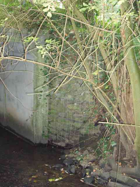 Gabions and bridge